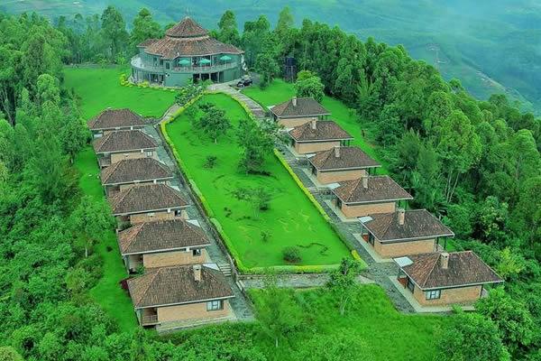 Hilltop cottages surrounded by forest