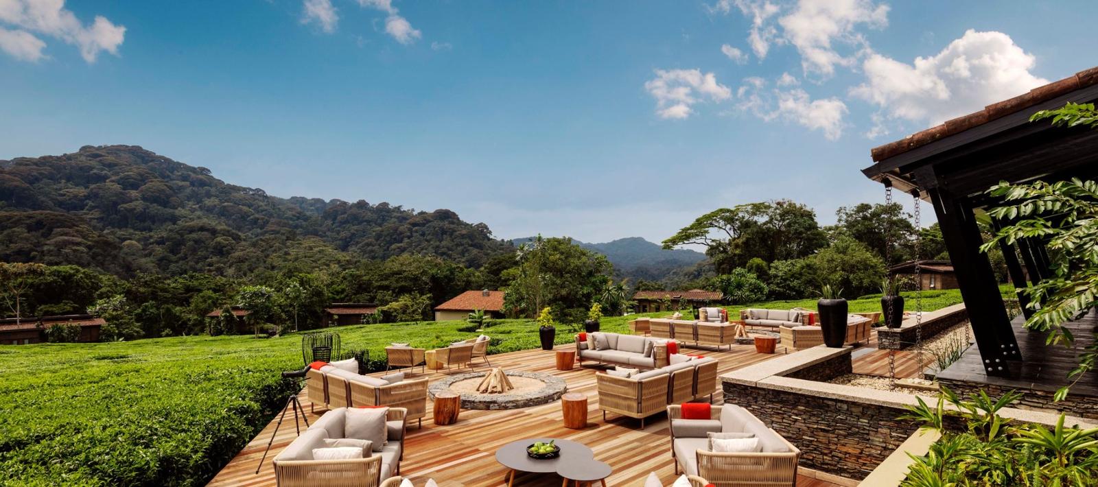 Lodge terrace looking over the forest