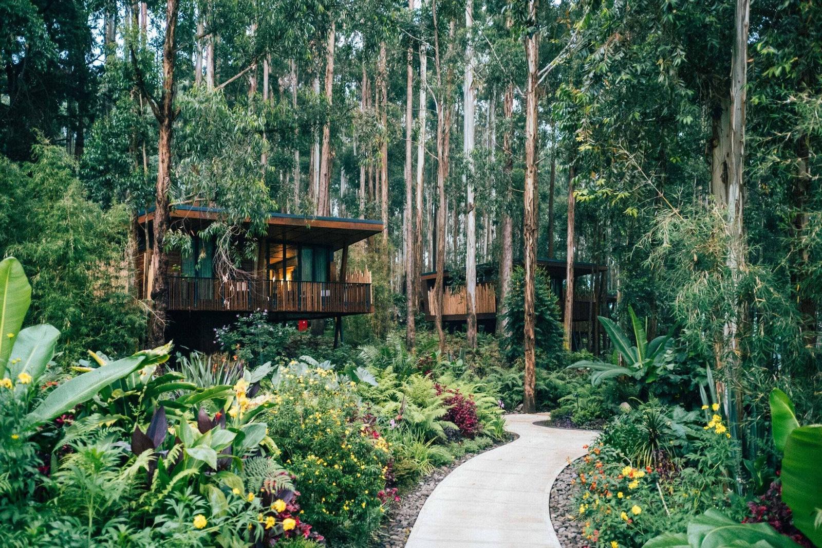 Forest lodge among the trees