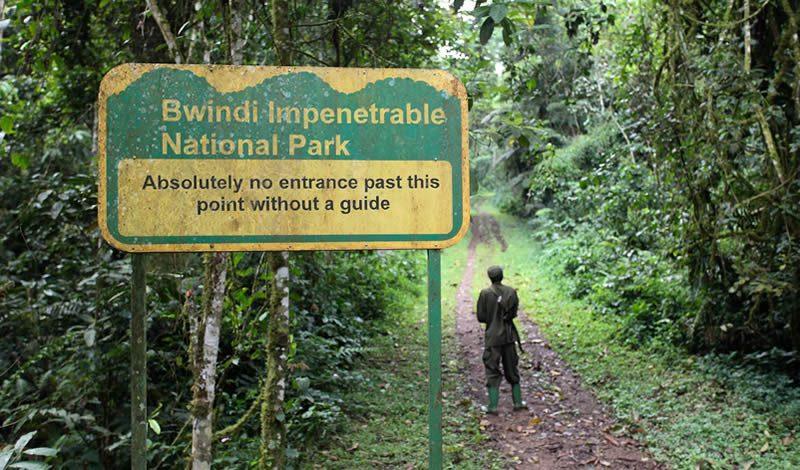 Trail sign inside Bwindi Impenetrable National Park