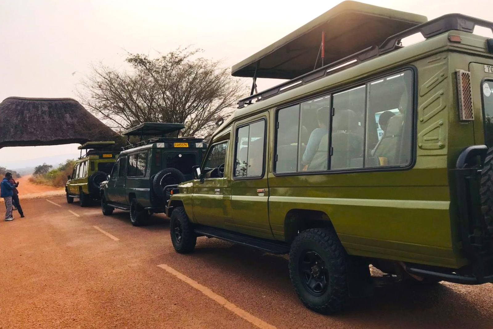 Safari vehicles on the road