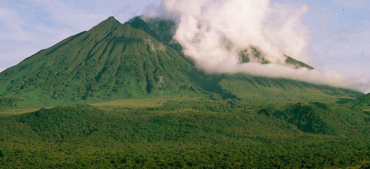 Virunga volcano above the forest